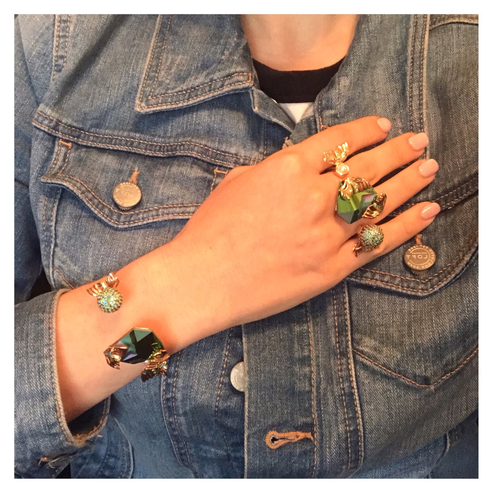 Glasswing Collection